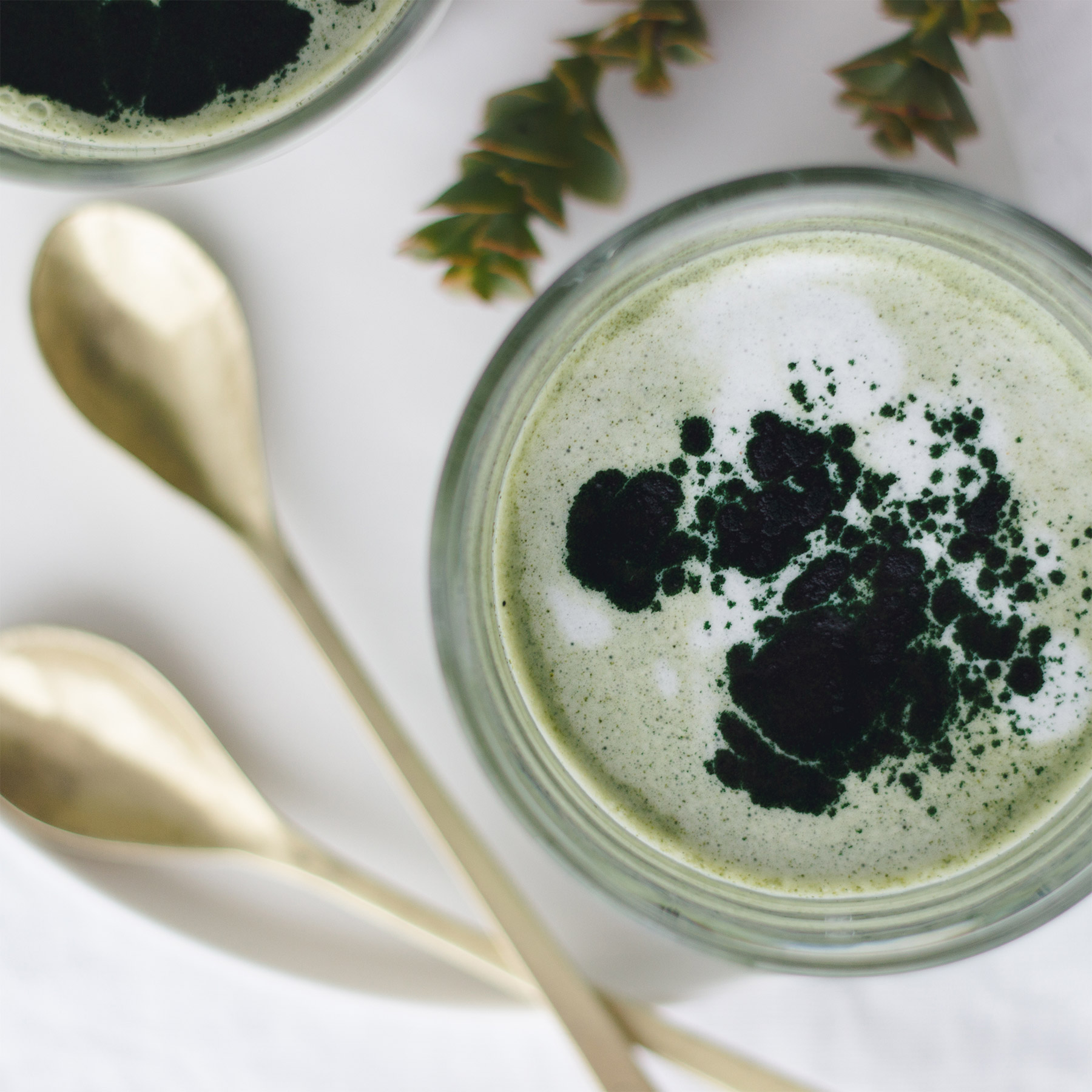 Green Spirulina Latte Free 7 Day Vegan Meal Plan Veahero
