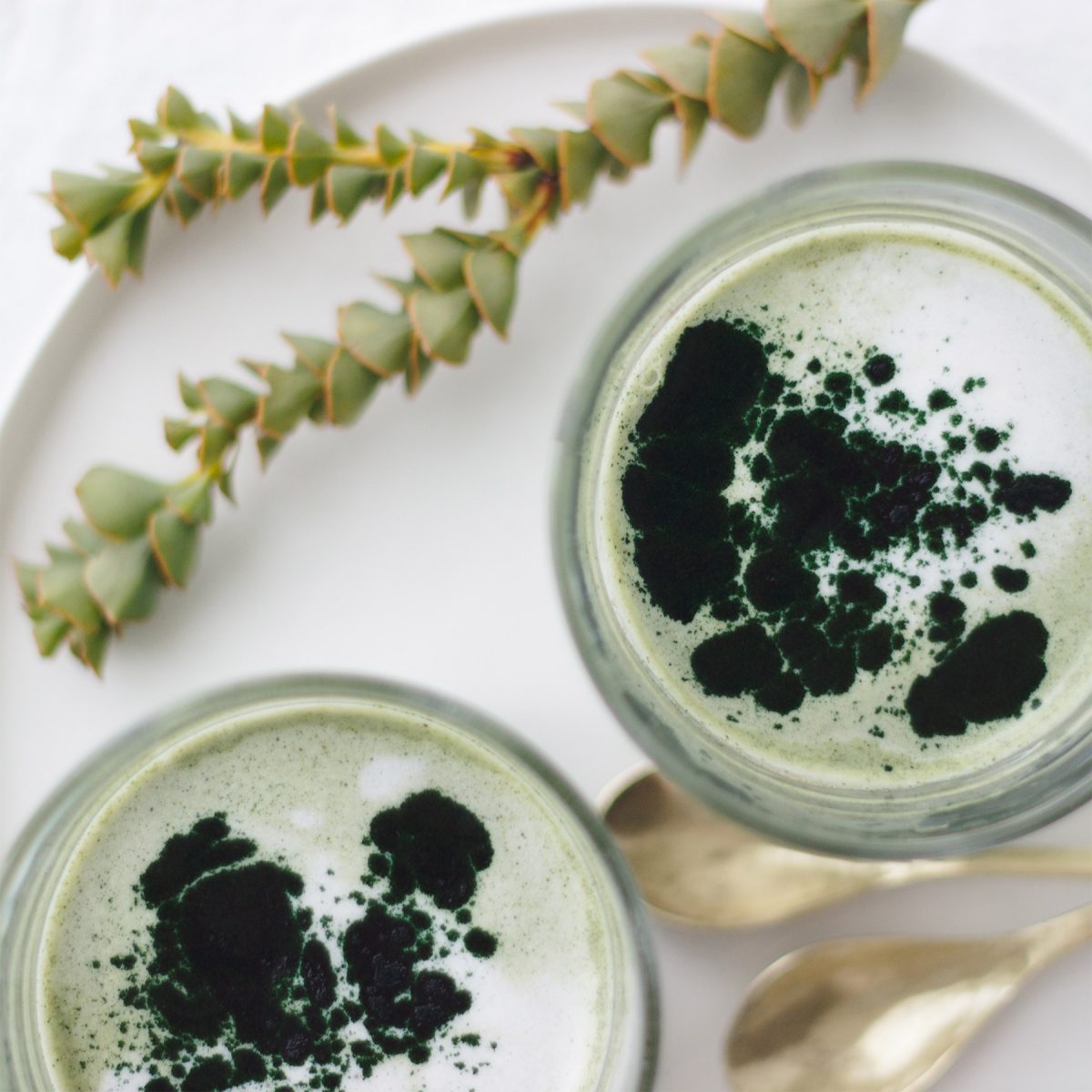 Green Spirulina Latte Free 7 Day Vegan Meal Plan Veahero