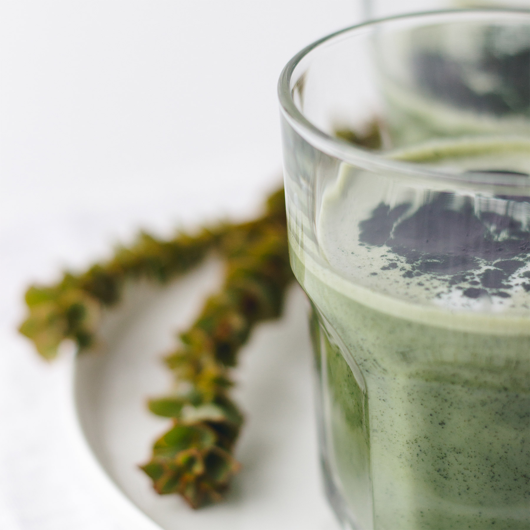 Green Spirulina Latte Free 7 Day Vegan Meal Plan Veahero