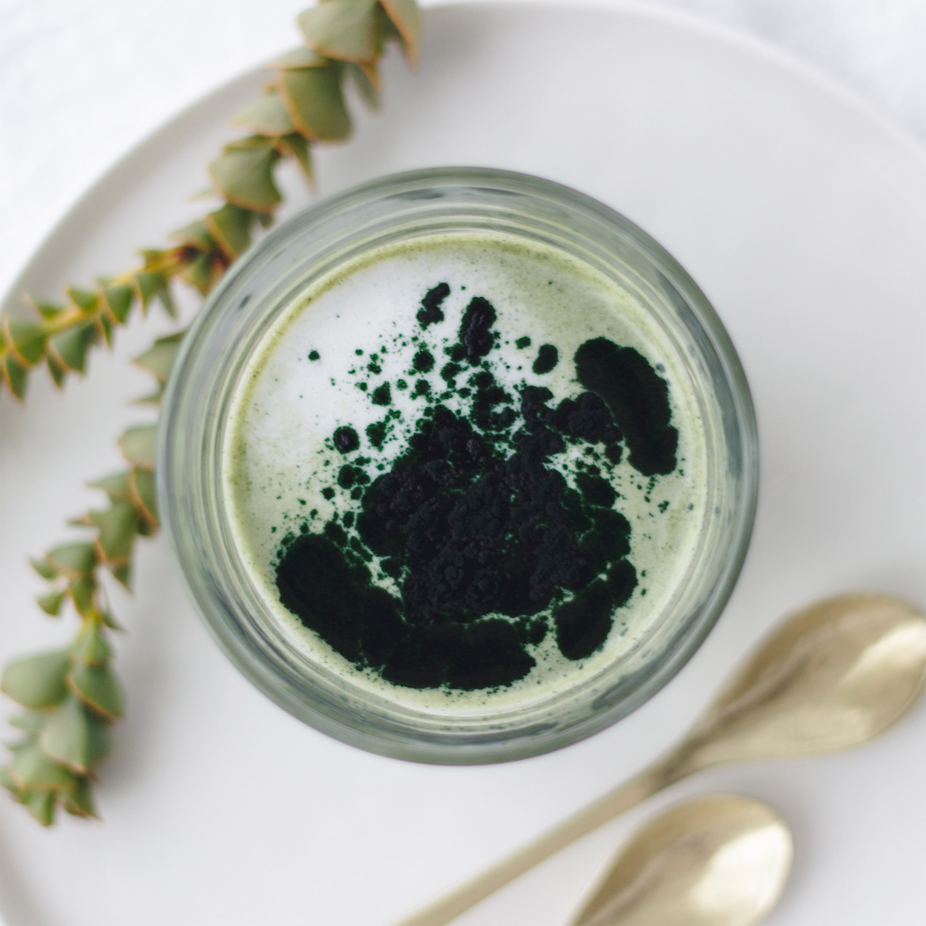 Green Spirulina Latte Free 7 Day Vegan Meal Plan Veahero