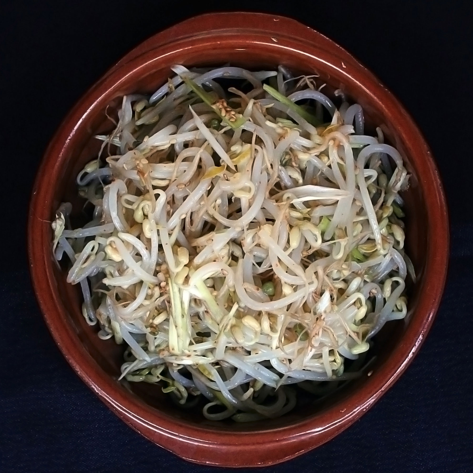 Korean Sesame Beansprout Salad Free Vegan Meal Planner Veahero