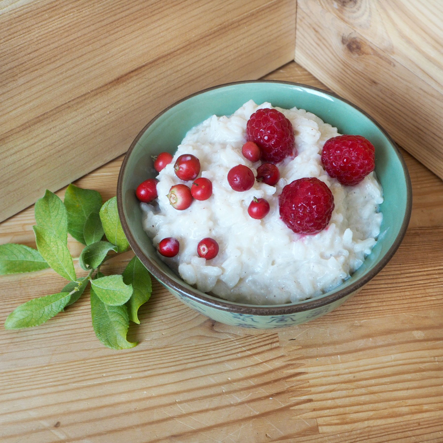 Warm Rice Porridge with Berries Free Vegan Meal Plan Veahero