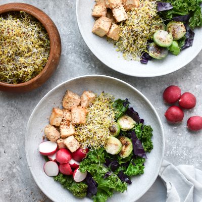 Crispy Tofu with Sauteed Kale Salad