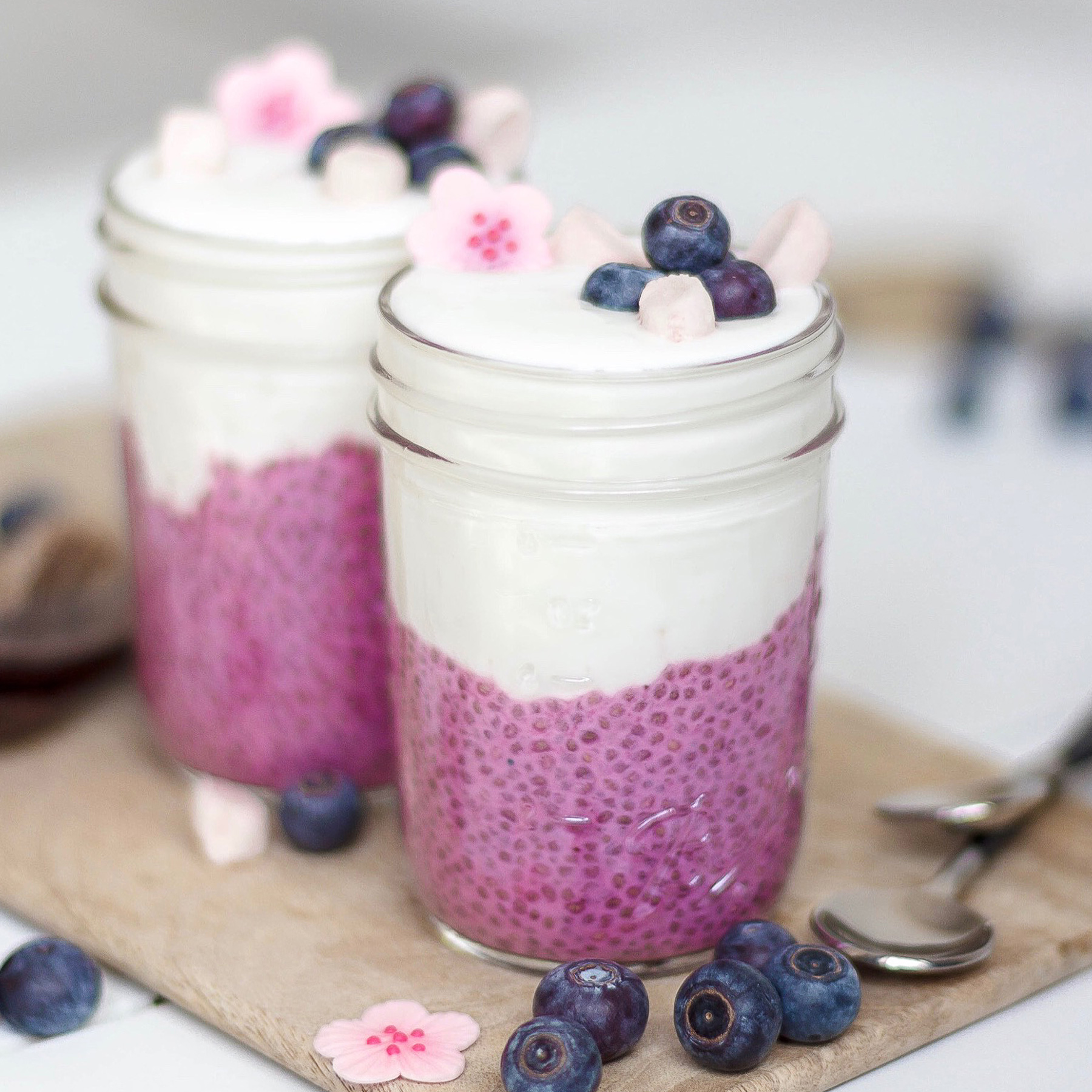 Coconut Pitaya Chia Pudding Free Vegan Meal Plans Veahero